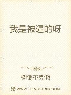 当爱情遇见痴傻封面