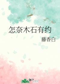 怎奈木石有约封面