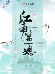 江南第一媳封面