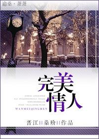 完美情人封面