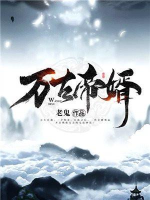 万古帝婿夜玄周幼薇封面