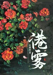 港雾封面