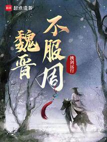 魏晋不服周封面