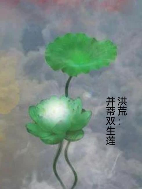 洪荒:并蒂双生莲封面