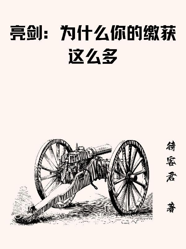 亮剑：我给云龙当领导封面