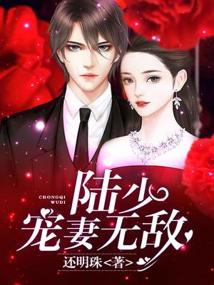 陆少，宠妻无敌!封面
