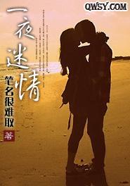 一夜迷情封面