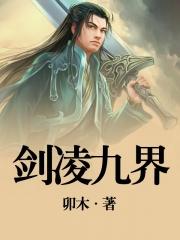 剑凌九界共多少字封面