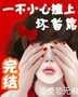一不小心撞上坏首席封面