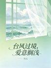 台风过境，爱意搁浅封面