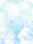 烟火散尽，再无青梅封面