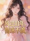 风过旧年，情深不渡封面