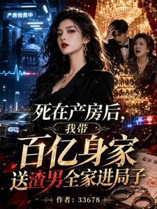死在产房后，我带百亿身家送渣男全家进局子封面