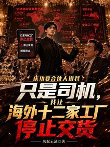 庆功宴合伙人说我只是司机我让海外十二家工厂停止交货封面
