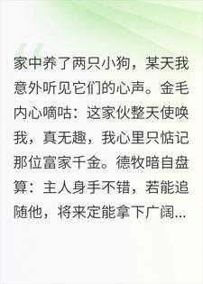 我能听懂狗的心声，一只惦记我女神，一只惦记我公司封面