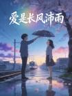 爱是长风沛雨封面