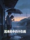 迟来的伞挡不住雨封面