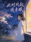此时风起夜未眠封面
