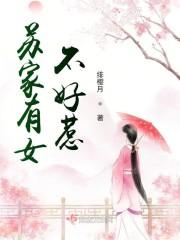 苏家有女不好惹封面